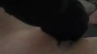 daddy, daddy’s girl, small