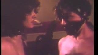 How To Welcome A New Neighbor