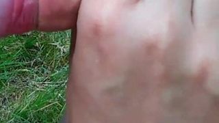 Lupus luxus summertime